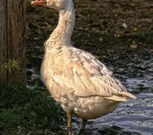 Jonglage-Martin-und-Soeren-07